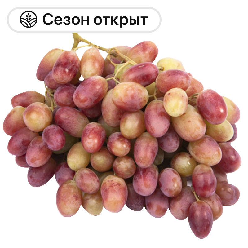 Виноград Розовый Ризамат, 1 кг