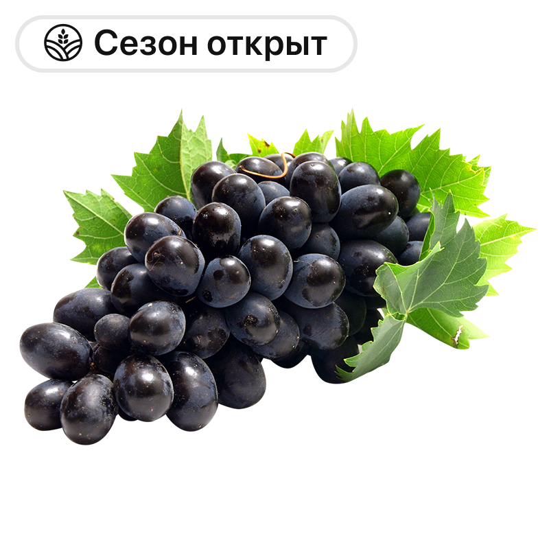 Виноград Мерседес черный, 1 кг