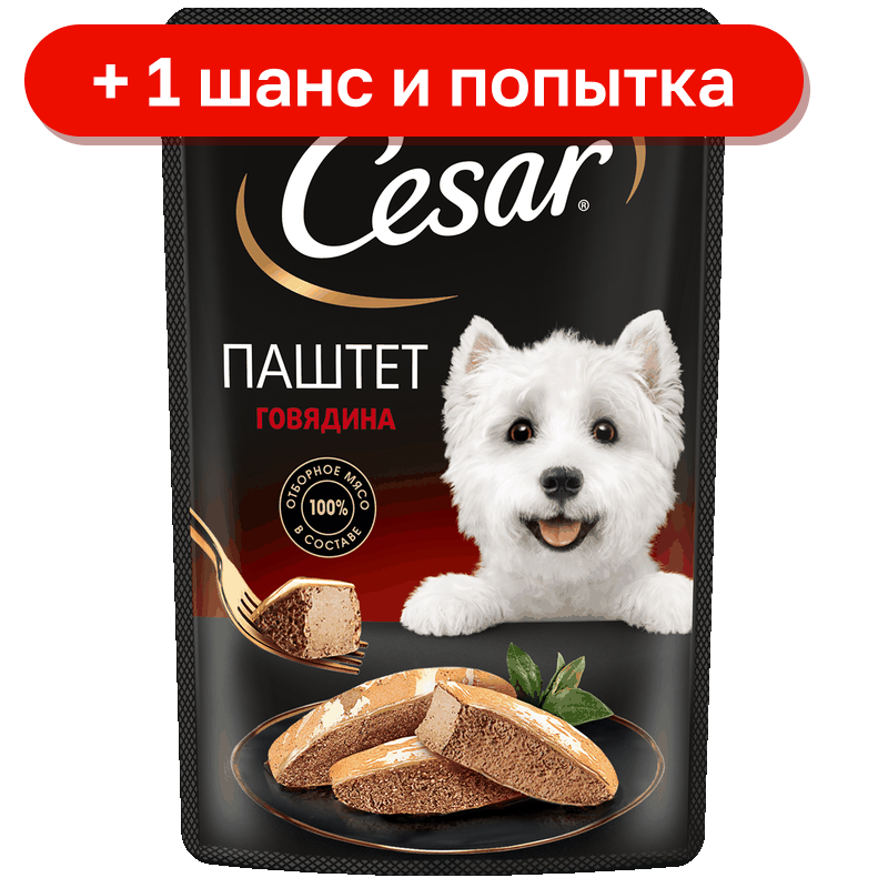 Корм для собак Cesar паштет говядина, 80 г