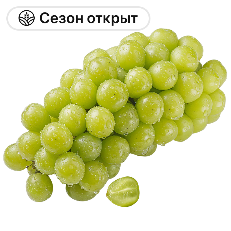 Виноград Шайн Мускат, 1 кг