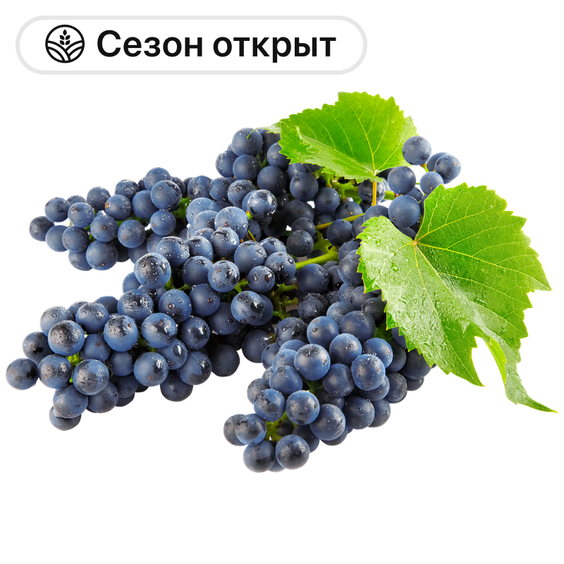 Виноград Кишмиш черный, 1 кг
