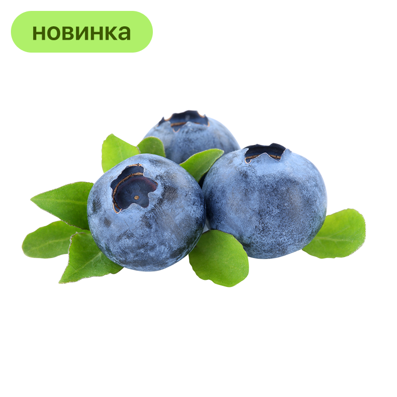 Голубика