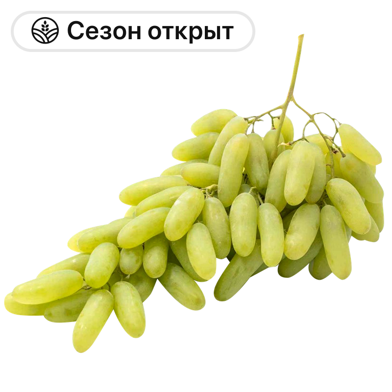 Виноград Дамские пальчики, 1 кг