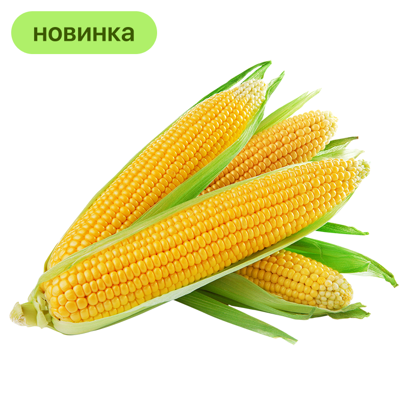 Кукуруза в початках, 1 шт