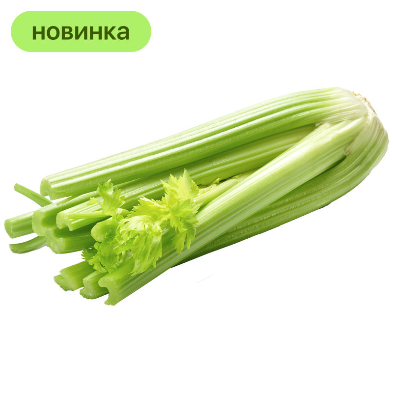 Сельдерей стебель, 1 шт