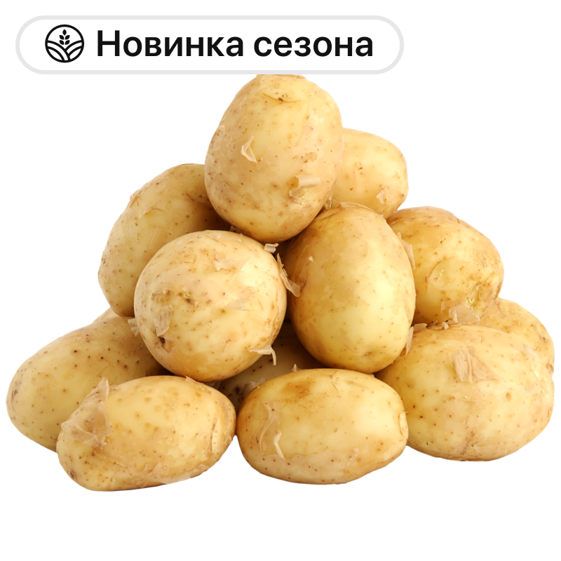 Картофель молодой, 1 кг